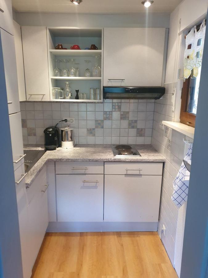 Haus Adler - Komplettes Ferienhaus Am Badesee Erzgrube Esterno foto