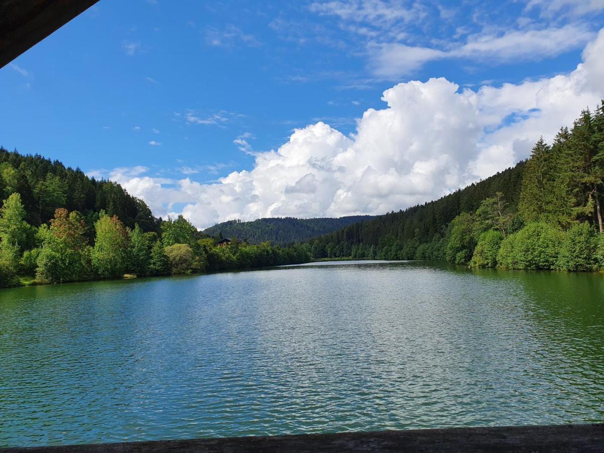 Haus Adler - Komplettes Ferienhaus Am Badesee Erzgrube Esterno foto